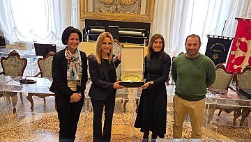 Press Release cover image