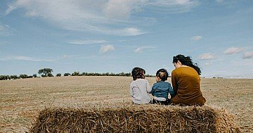 Press Release cover image