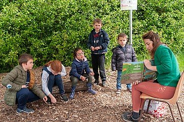 Press Release cover image