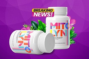 Press Release cover image