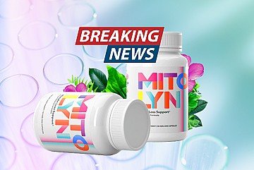 Press Release cover image