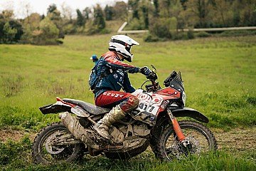 Press Release cover image