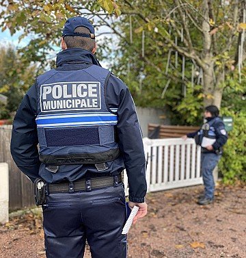 Press Release cover image