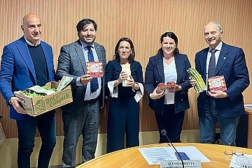 Press Release cover image