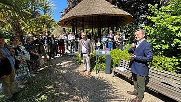 Press Release cover image