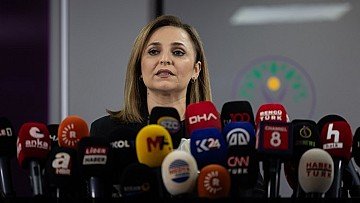 Press Release cover image