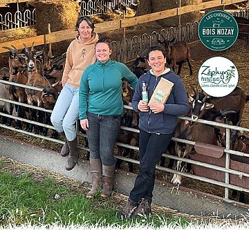 Press Release cover image