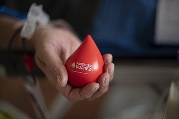 Press Release cover image