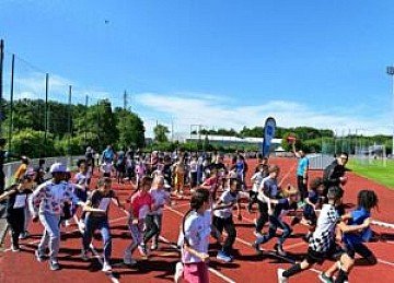 Press Release cover image