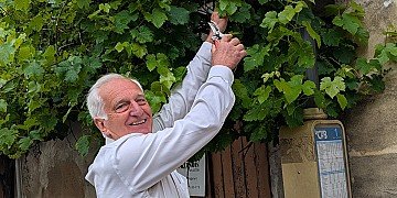 Press Release cover image