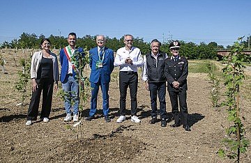 Press Release cover image