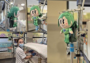 Press Release cover image