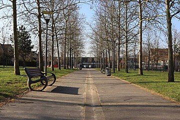 Press Release cover image