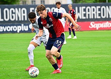 Press Release cover image