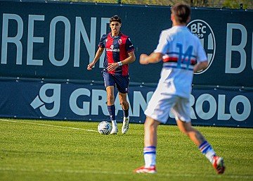 Press Release cover image