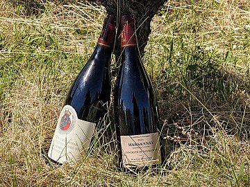 Press Release cover image