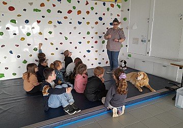 Press Release cover image