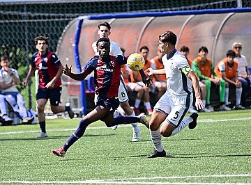 Press Release cover image