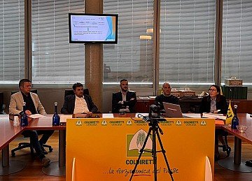 Press Release cover image