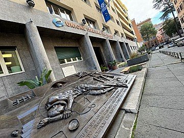 Press Release cover image