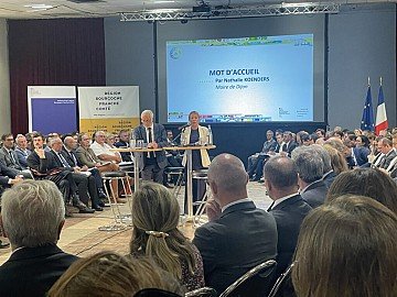 Press Release cover image