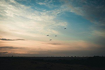 Press Release cover image