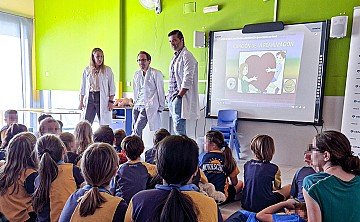 Press Release cover image