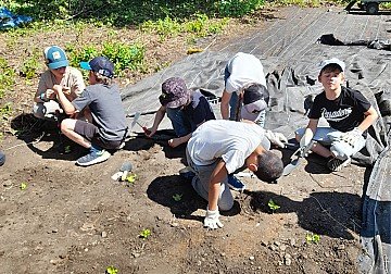 Press Release cover image