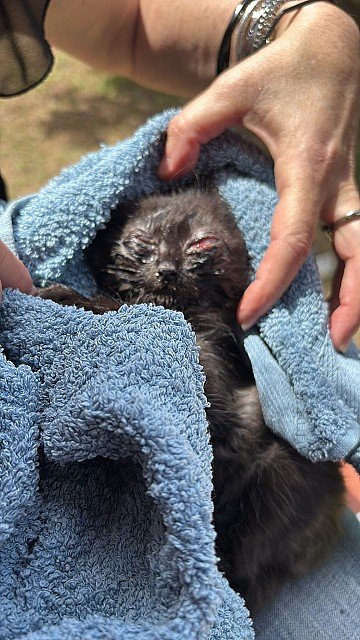 Press Release cover image