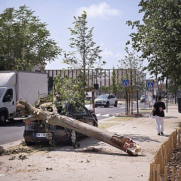 Press Release cover image