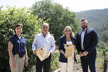 Press Release cover image