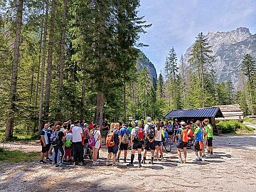 Press Release cover image