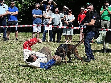 Press Release cover image