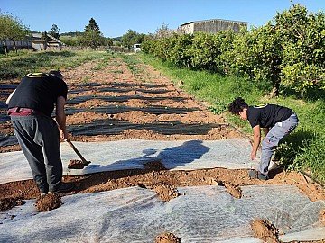 Press Release cover image