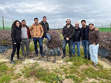 Press Release cover image