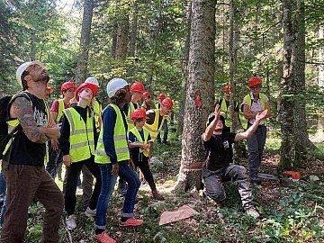 Press Release cover image