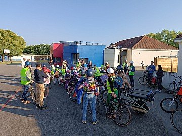 Press Release cover image