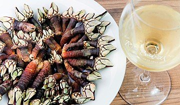 Press Release cover image