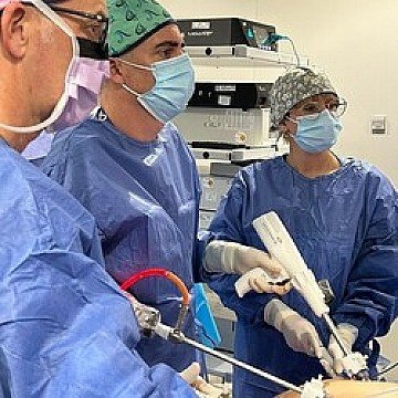 Press Release cover image