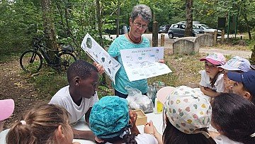 Press Release cover image