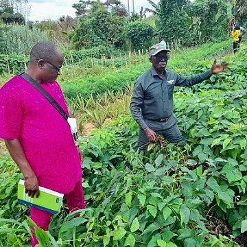 Press Release cover image