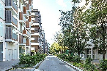 Press Release cover image