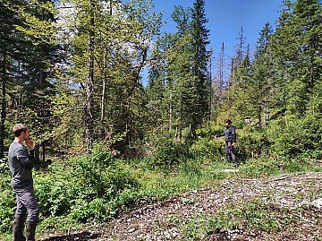 Press Release cover image