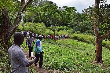 Press Release cover image