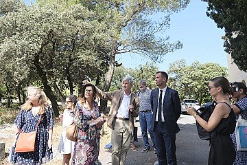 Press Release cover image