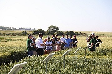 Press Release cover image