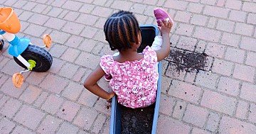 Press Release cover image