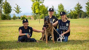 Press Release cover image