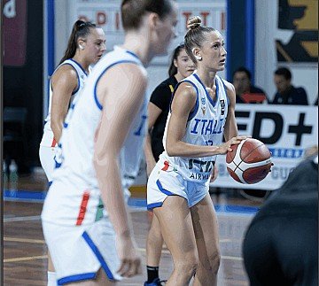 Press Release cover image