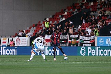 Press Release cover image